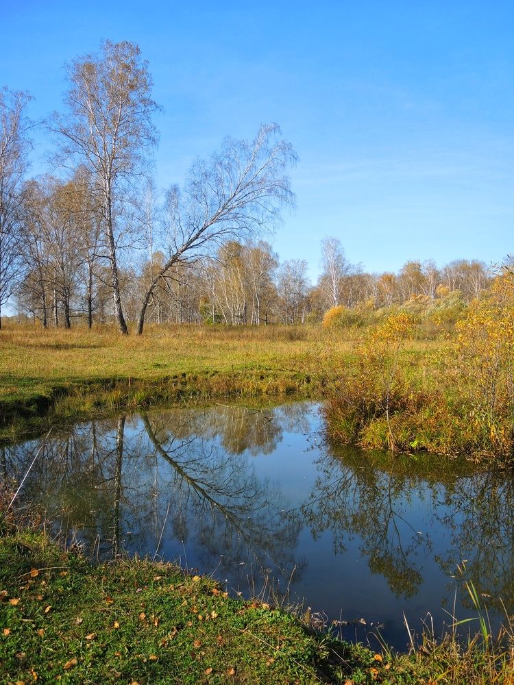 Photograph by Римма Большакова