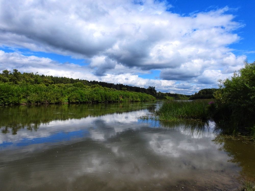 Photograph by Римма Большакова