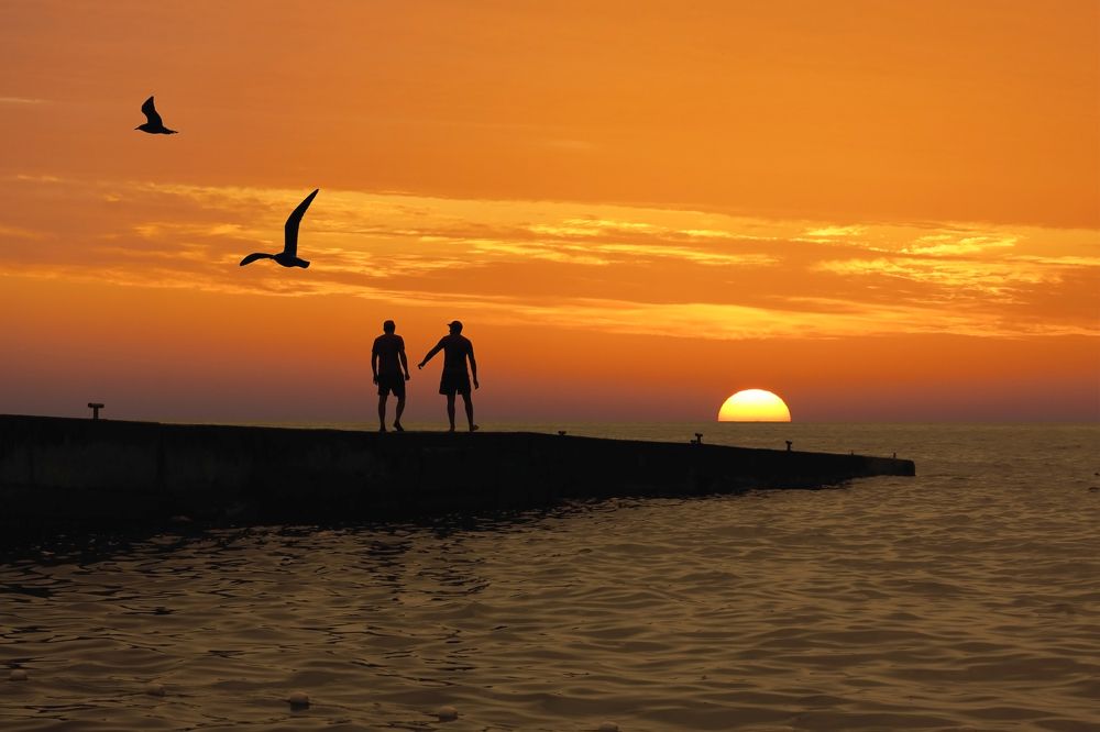 Photograph by Александр Парамонов