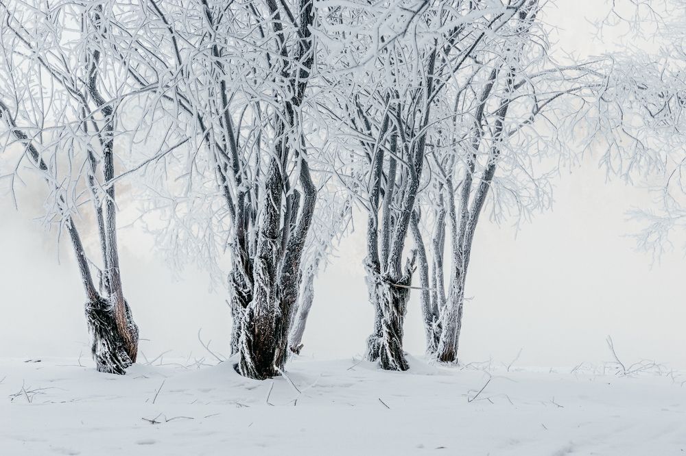 Photograph by Аслан Маргиев