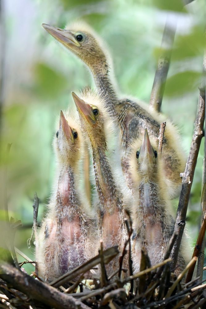 Photograph by Чернобай Анна