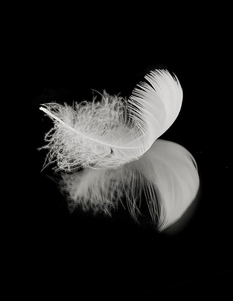 Photograph by Надежда Смирнова