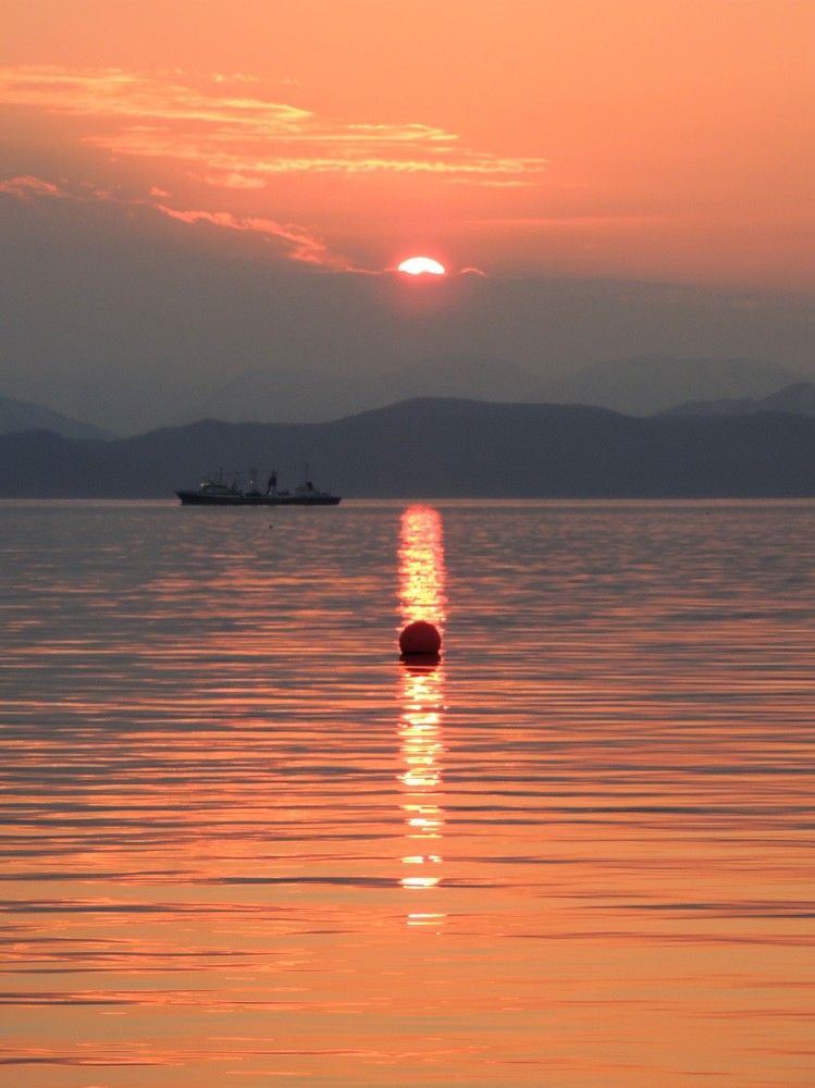 Photograph by Ирина Фирсова