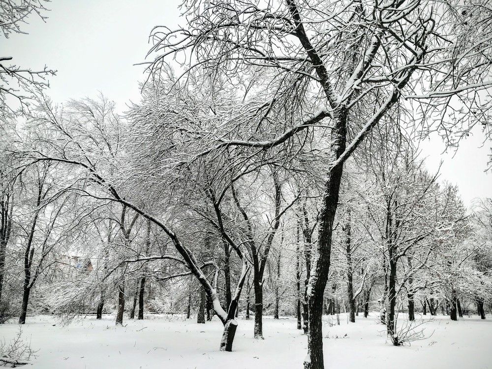 Фотография автора Olena Dyliurman