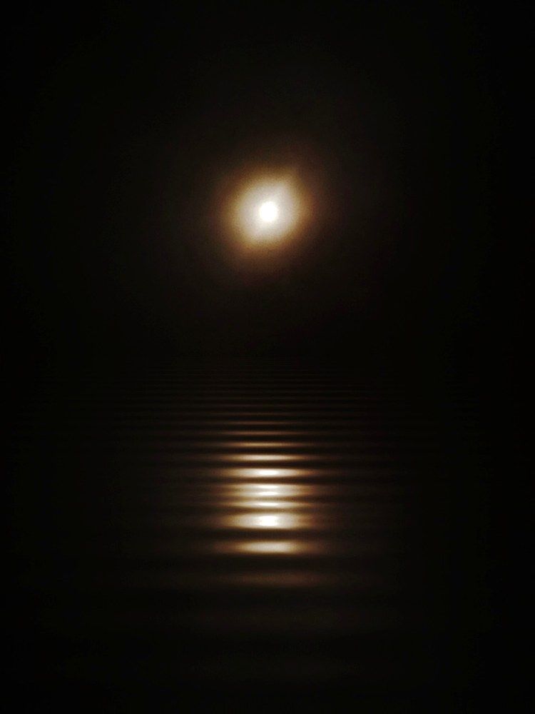 Photograph by Nikolett Mengyi