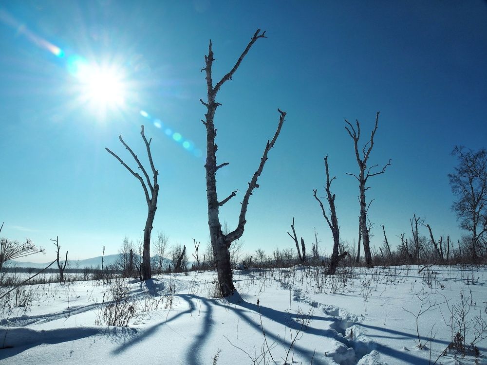 Photograph by Elena Poddubnaja