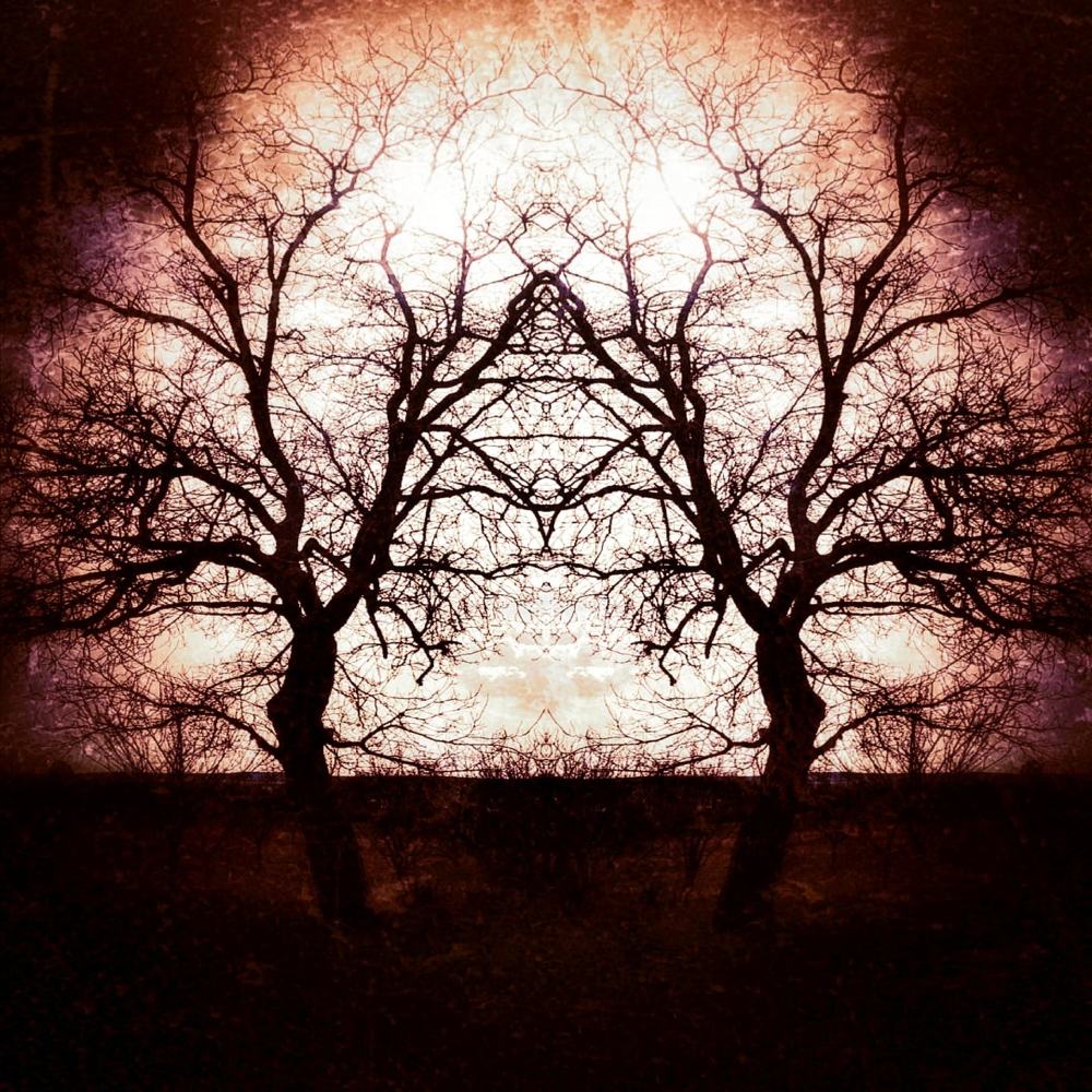 Photograph by Nikolett Mengyi