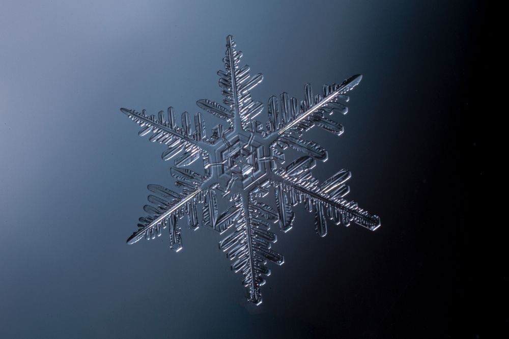 Photograph by Алексей Козлов