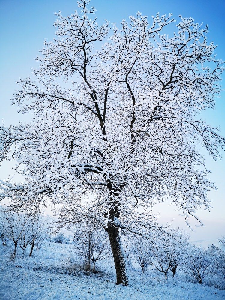 Photograph by Nikolett Mengyi