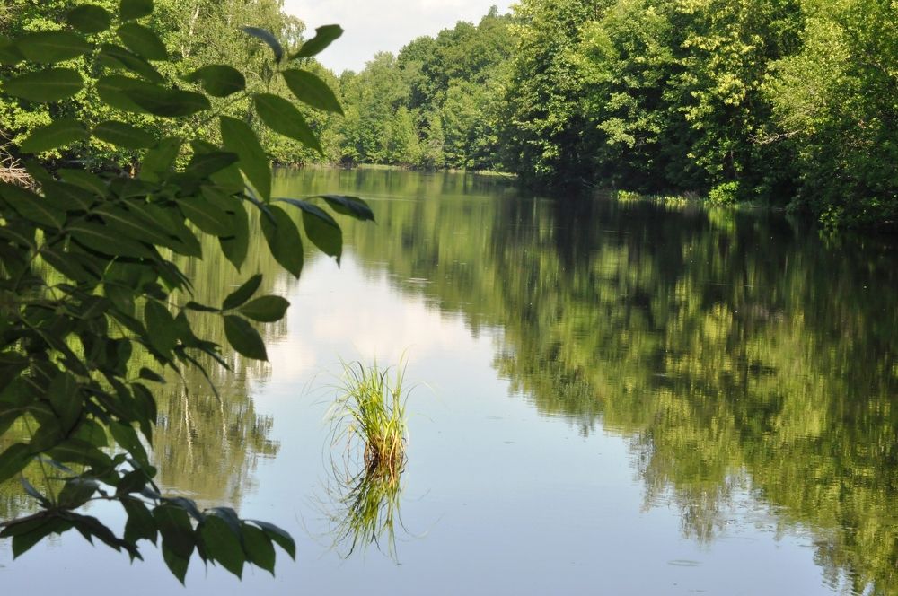 Photograph by Николай Николаевич Леухин