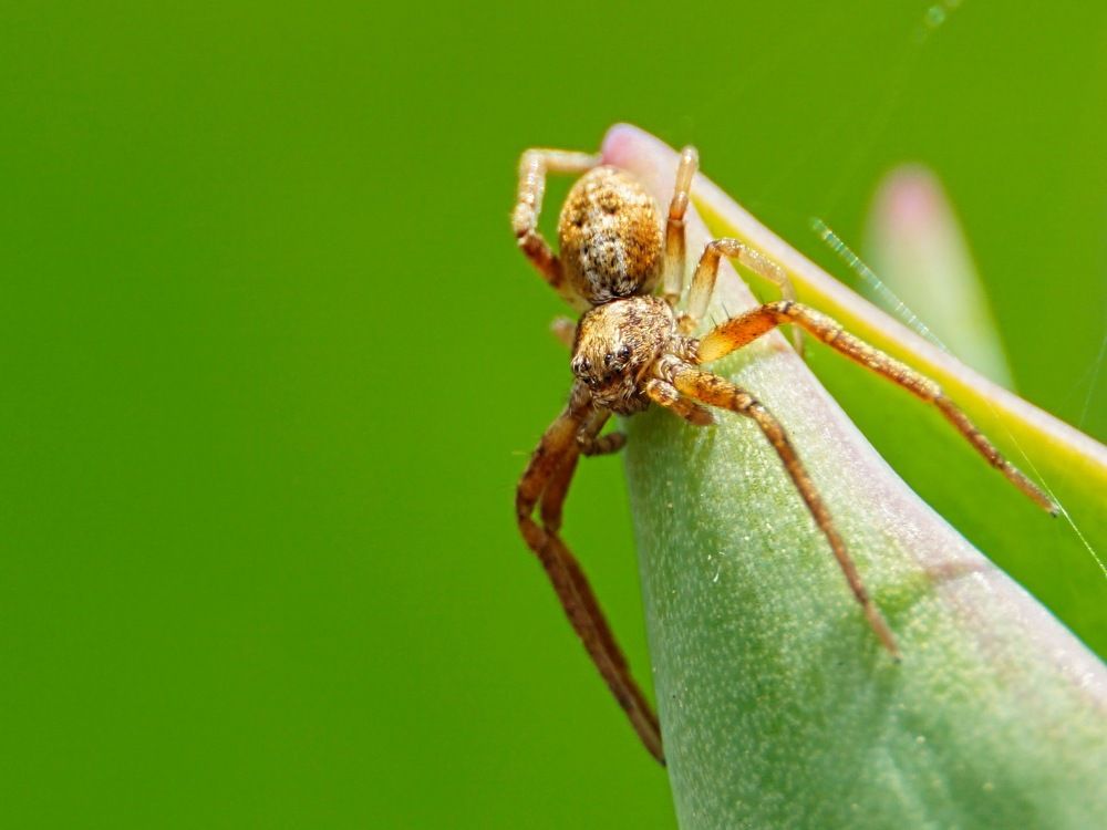 Photograph by W Graf