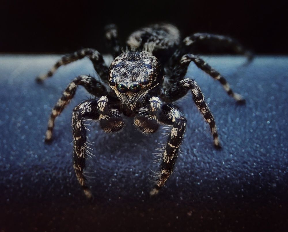 Photograph by W Graf