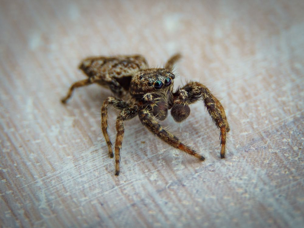 Photograph by W Graf