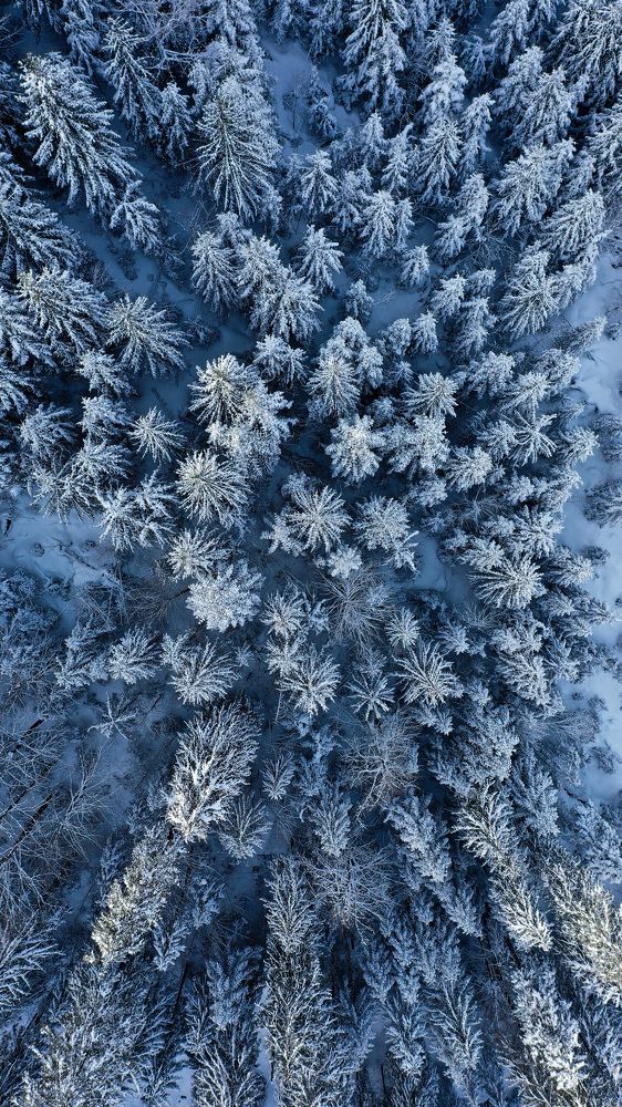 Photograph by Bohdan Susol