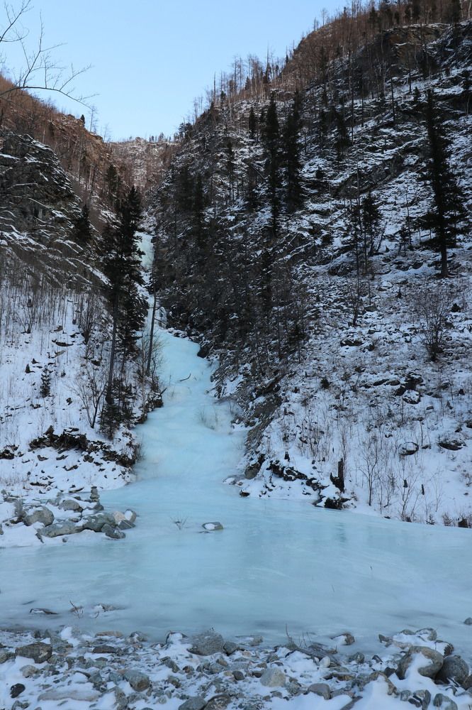 Фотография автора Татьяна Свистулина