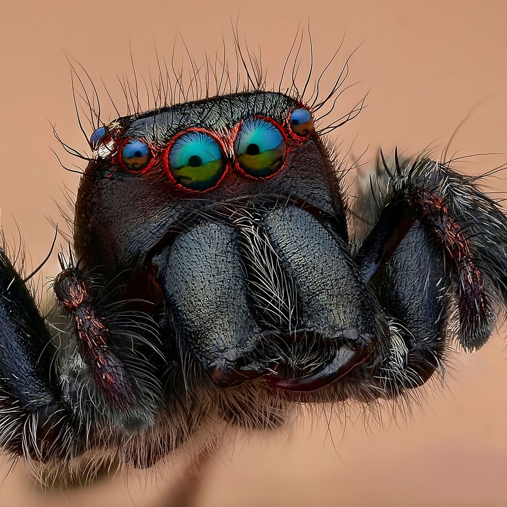 Photograph by Tinh Dang thanh