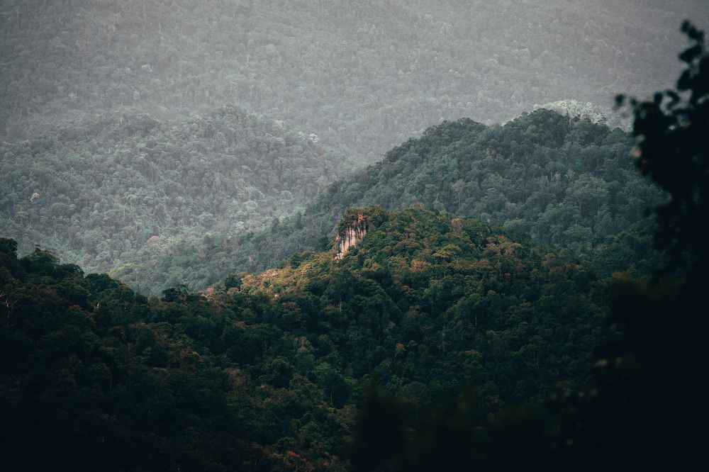 Photograph by Syed Zohair