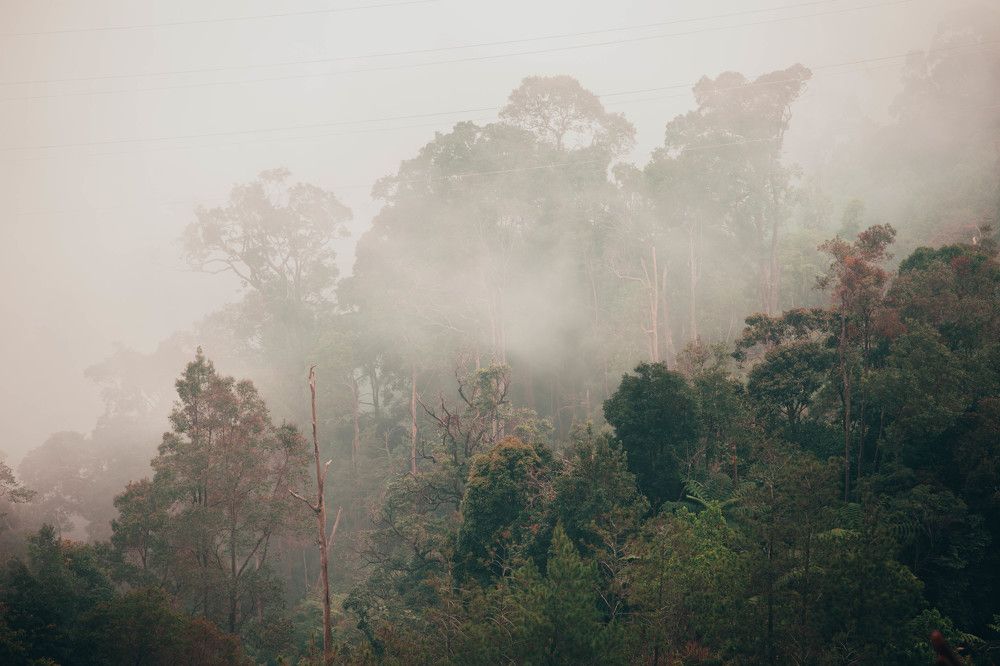 Photograph by Syed Zohair