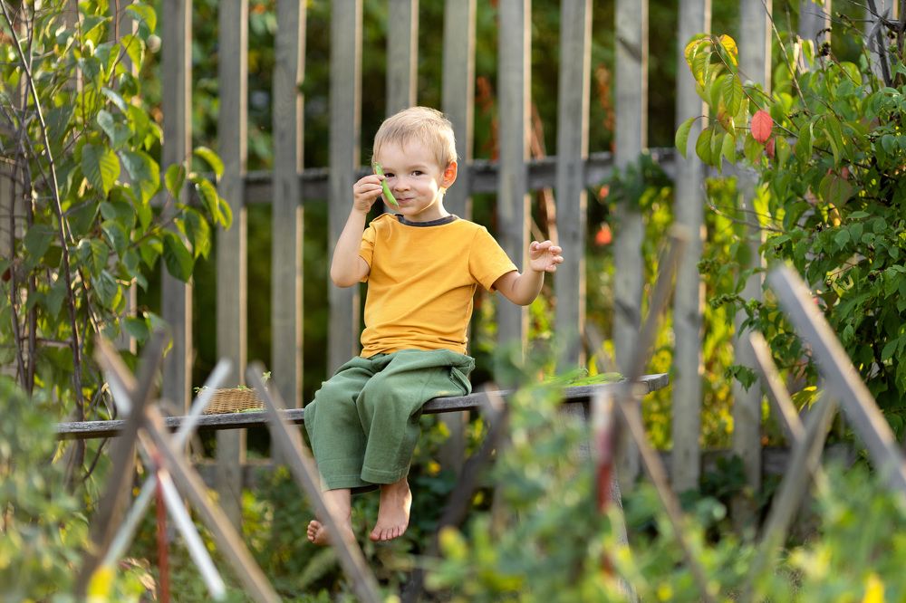 Photograph by Ирина Стрельникова