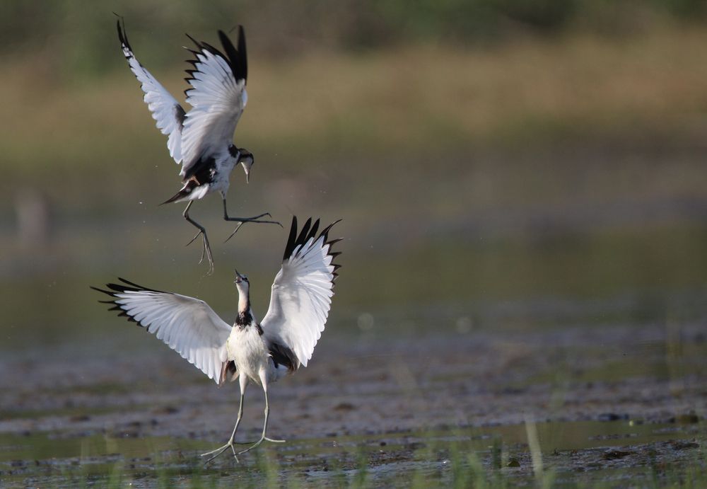 Photograph by Vikram Bahal