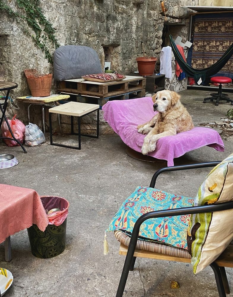 Photograph by Косяченко Светлана