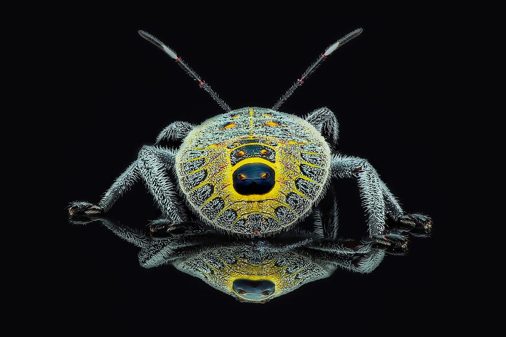 Photograph by Ngọc Trần