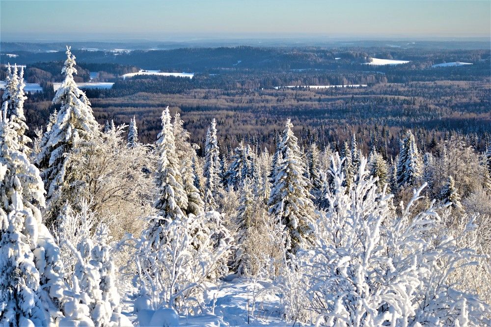 Photograph by Сергей Зубов