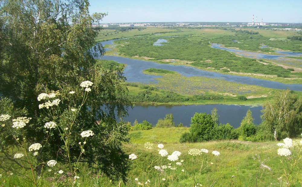 Заливные луга на Оке.