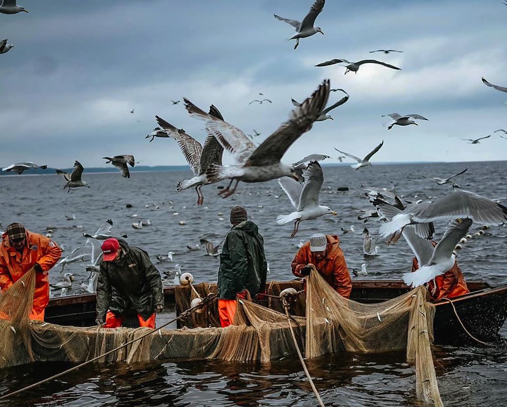 Photograph by Viktors Giršsons