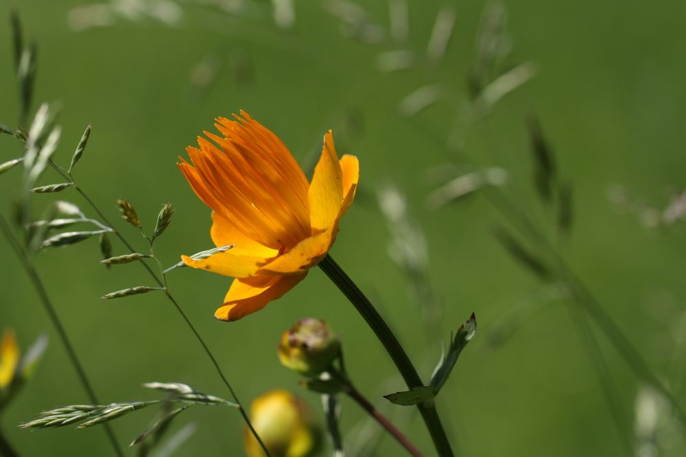 Photograph by Viktors Giršsons