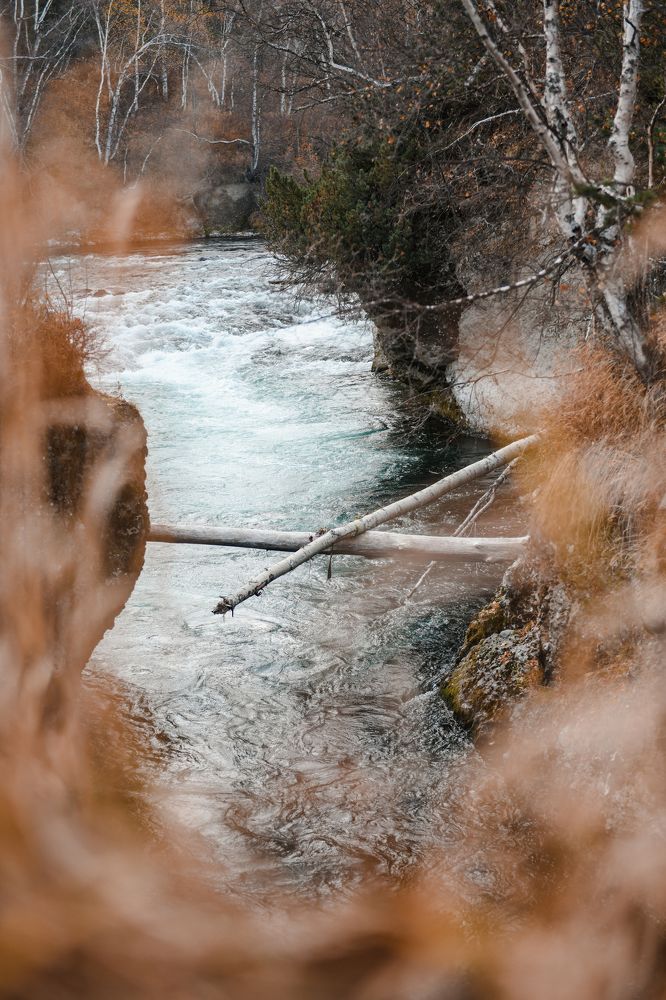 Photograph by Людмила Москвичёва