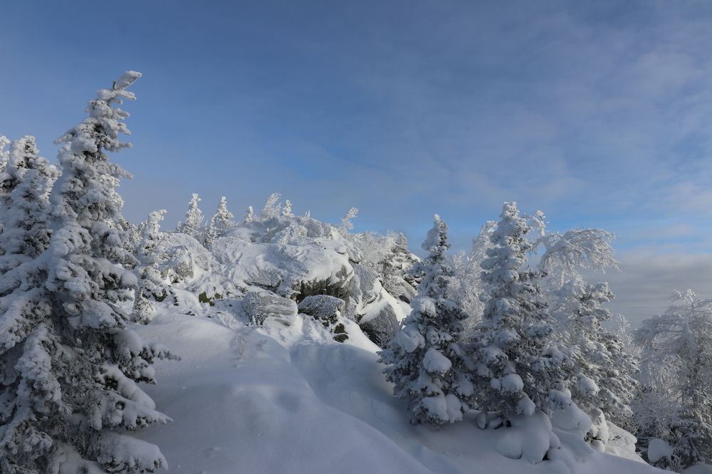 Фотография автора Татьяна Свистулина