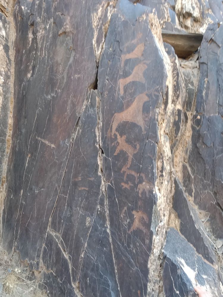 Photo #7022711