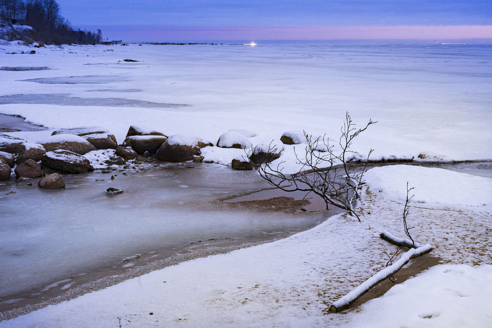 Photograph by Silja Tamme