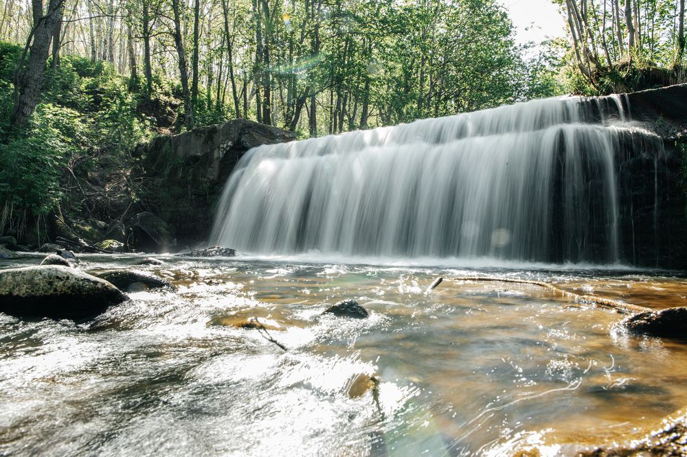 Photograph by Людмила Москвичёва