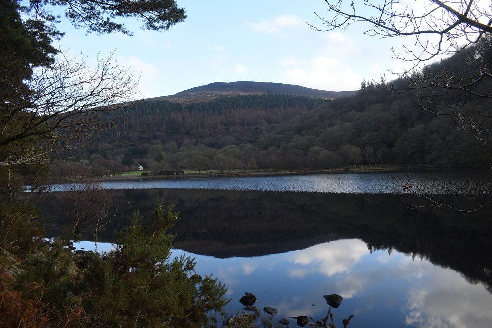 Through the looking glass