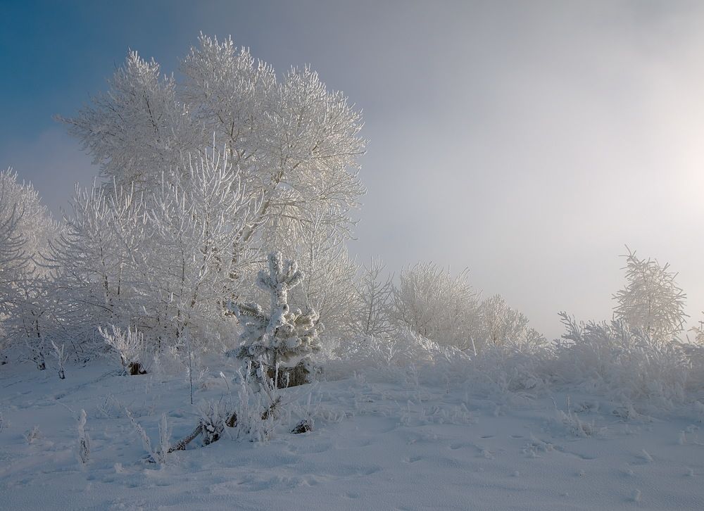 Photograph by Анатолий Васильев