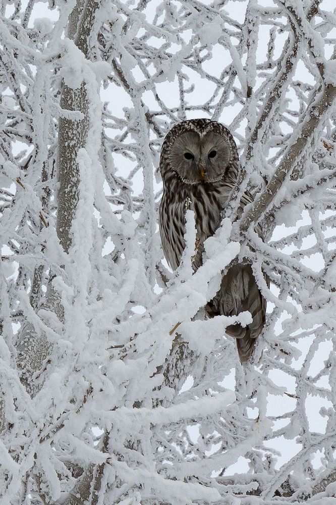 Photograph by Олег Тетерин