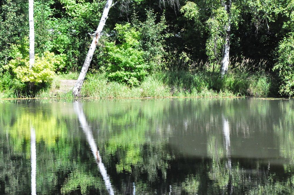 Photograph by Александра Пухкалова