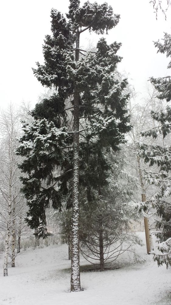 Photo #7022869