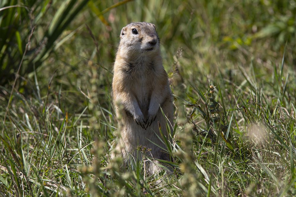 Photograph by Олег Тетерин