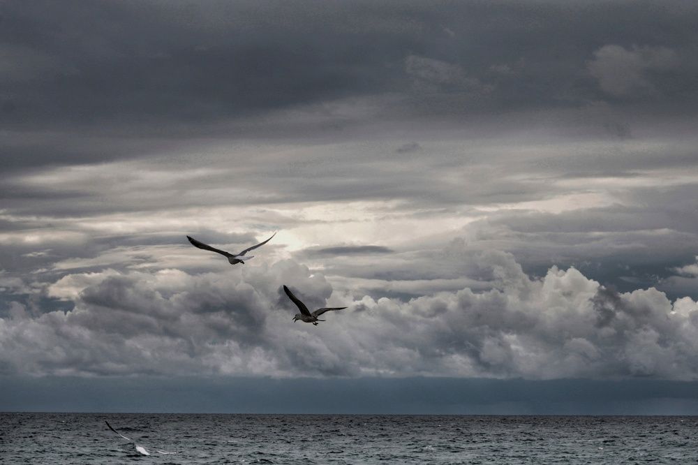 Photograph by Инна Карасева