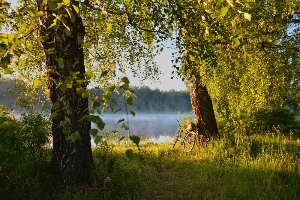 Photograph by Римма Большакова