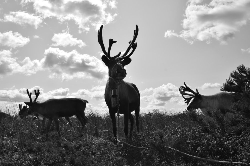 Photograph by Сон Ен Дё