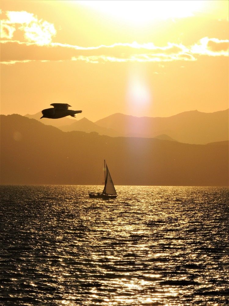 Photograph by Ирина Фирсова