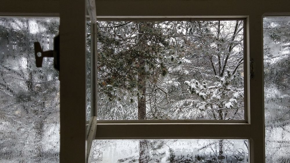 Заснеженная природа из окна гостиницы