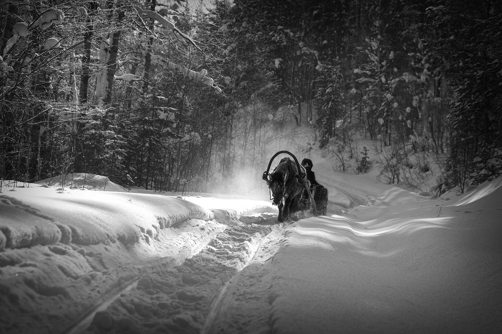 Photograph by Рашид Усманов