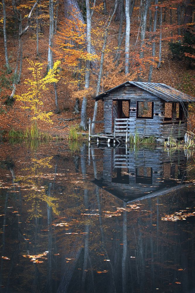 Photograph by Дмитрий Юдин