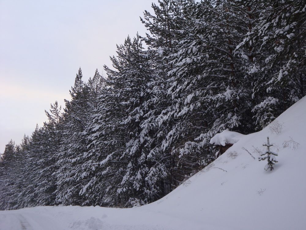 Photograph by Александра Пухкалова