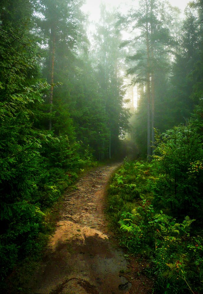 Photograph by Ubare Kelle